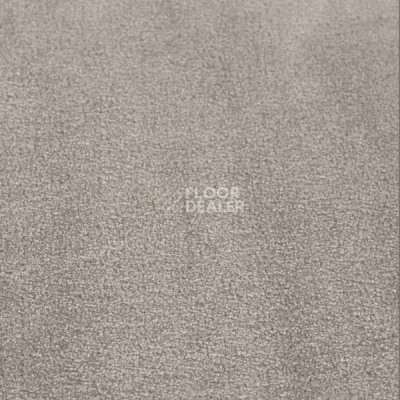 Ковролин Jacaranda Carpets Simla Cloudy Grey фото 1 | FLOORDEALER